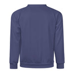 Men's UCLA Blue Solid Sweatshirt