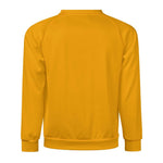 Men's Carrot Orange Solid Sweatshirt