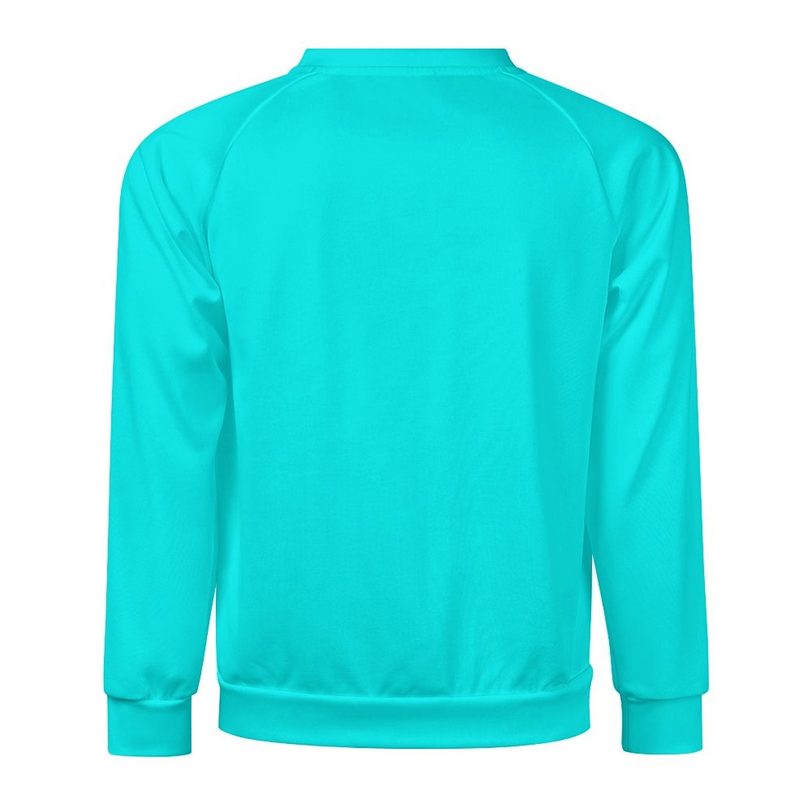 Men's Turquoise Solid Sweatshirt