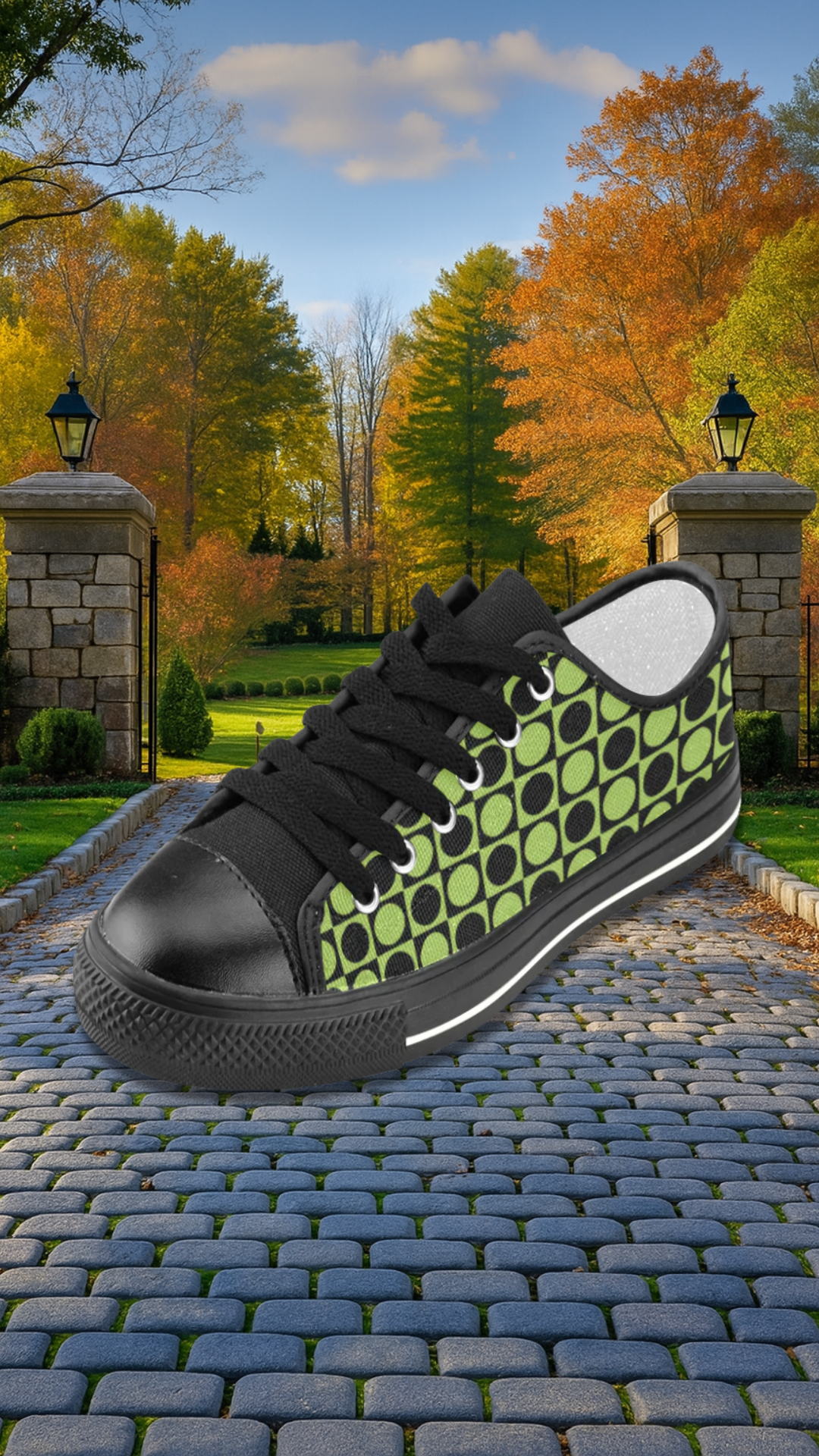 Women's Polka Dots Trip Print Low Top Canvas Shoes
