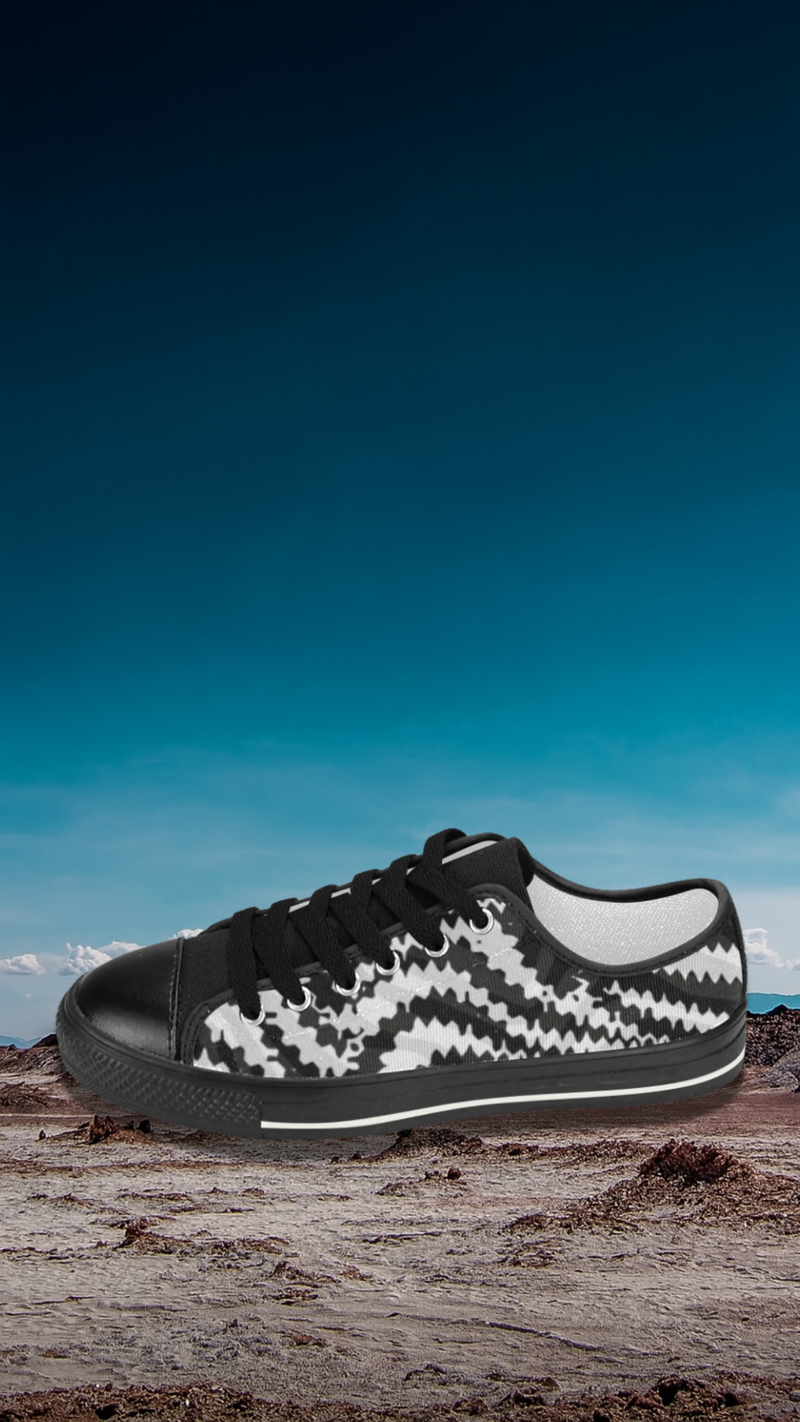 Women's Zebra Print Canvas Low Top Shoes