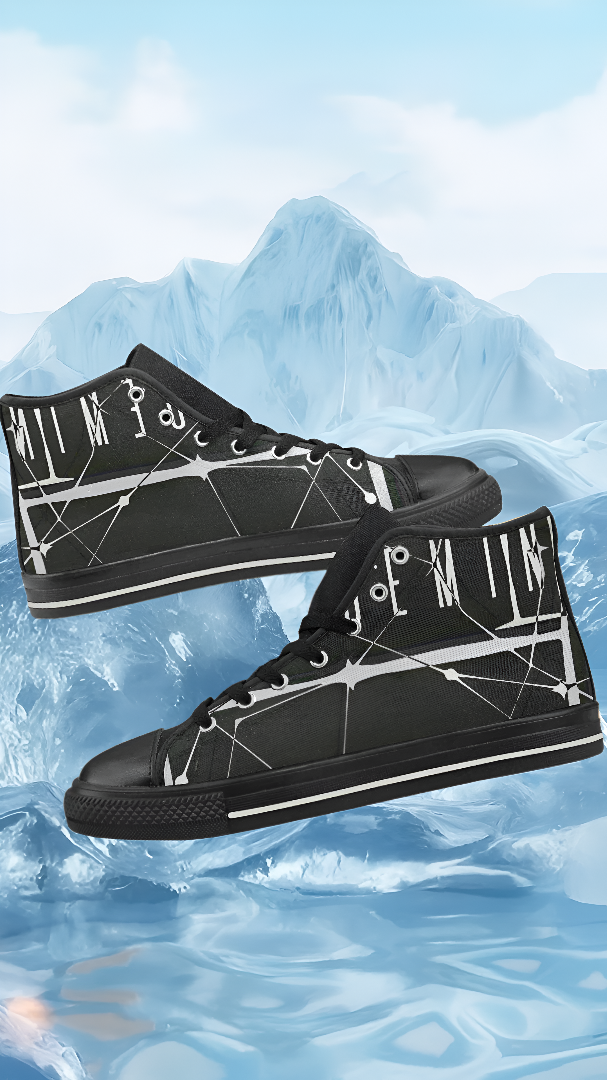 Men's Gemini Zodiac Print Canvas High Top Shoes